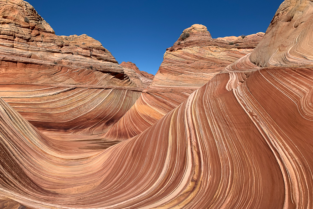 The Wave North Coyote Buttes Vermilion Cliffs National Monument 